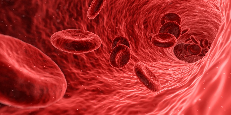 Zdjęcia sklejających się czerwonych ciałek krwi przed i po użyciu EFT