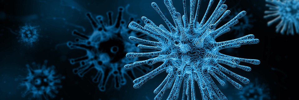 Teraźniejszość – Nie o bakterie i wirusy chodzi